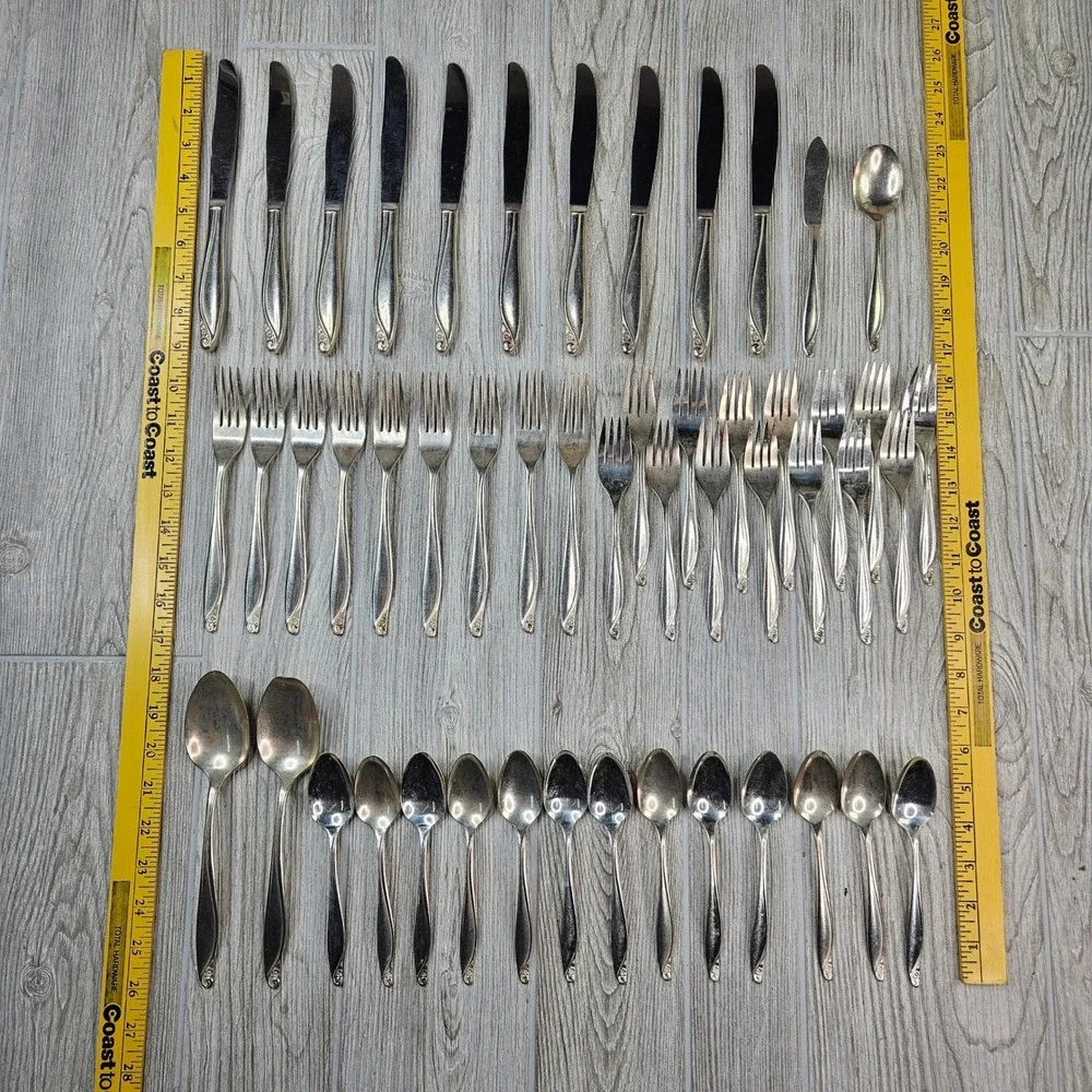 Wm. A. Rogers Oneida Flowertime Silver Overlaid Flatware Set 50 Pieces Vintage